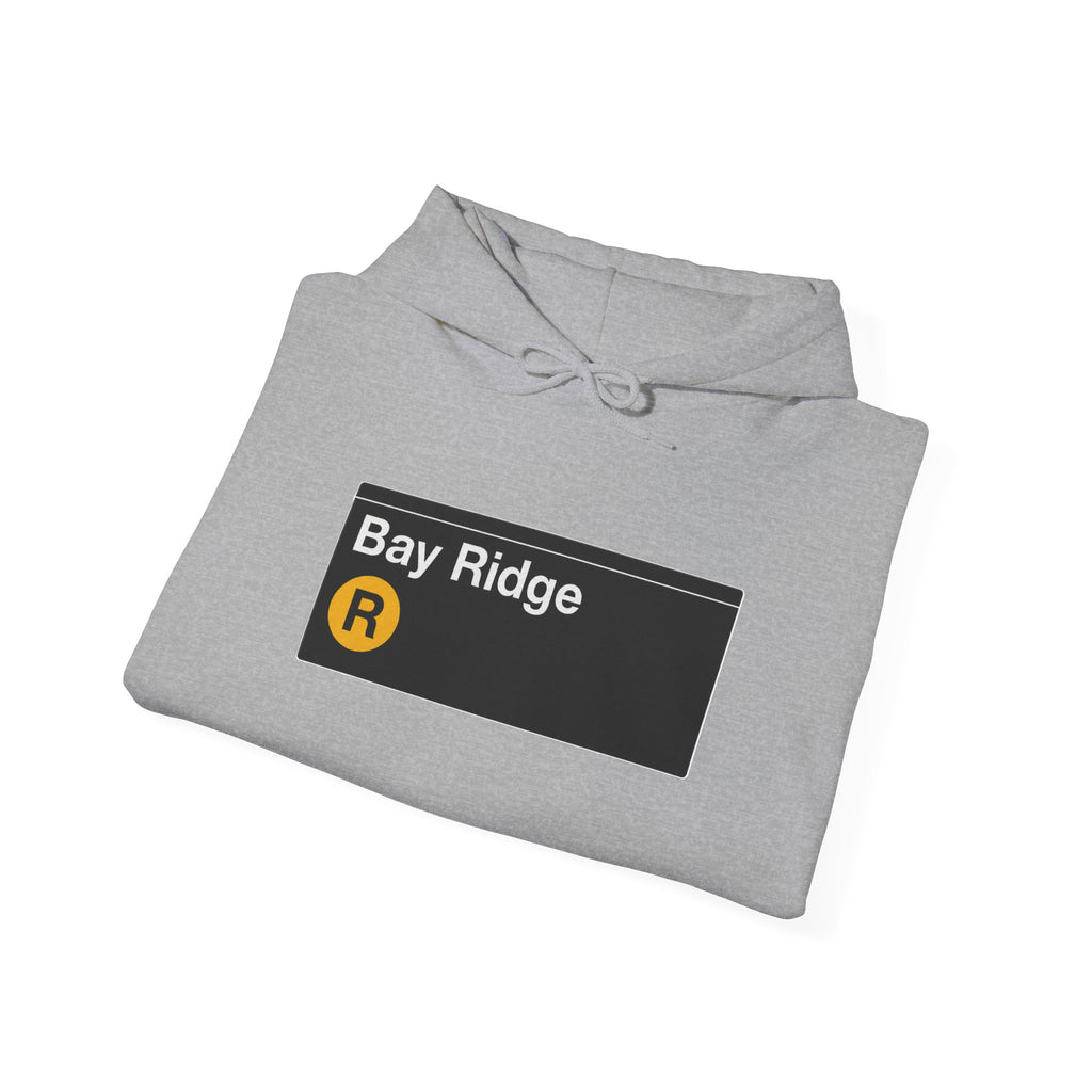 Bay Ridge Hoodie — Italian Flag Script Pullover