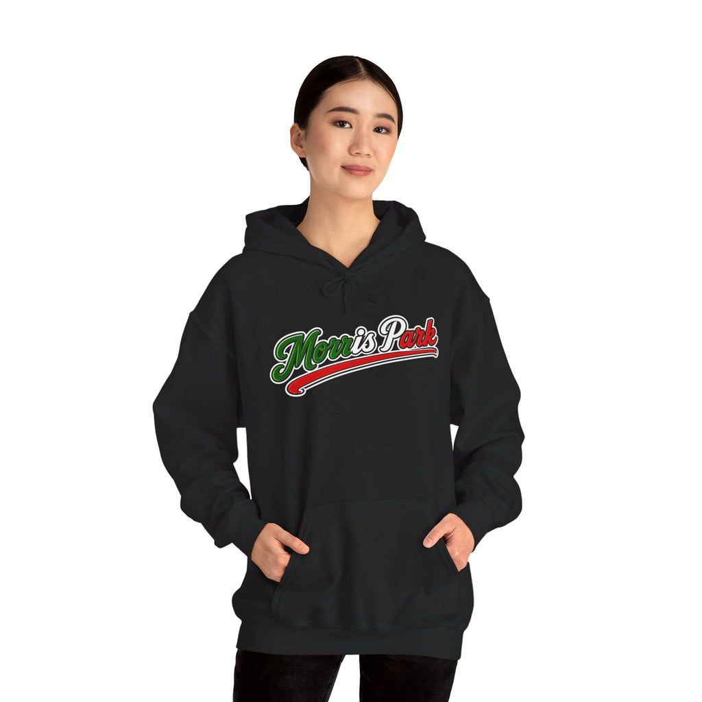 Morris Park Hoodie — Italian Flag Script Pullover