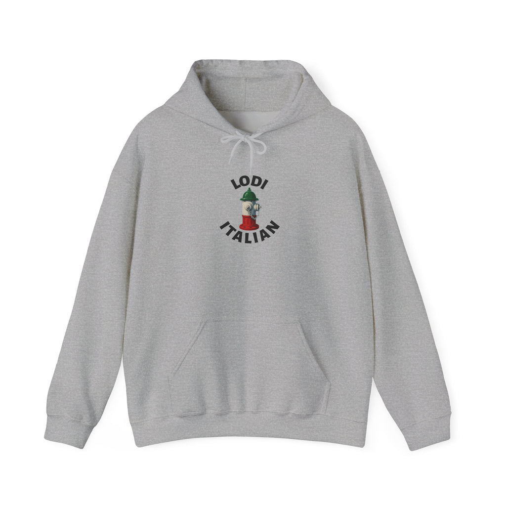 Lodi Italian Hoodie — Italian Flag Script Pullover