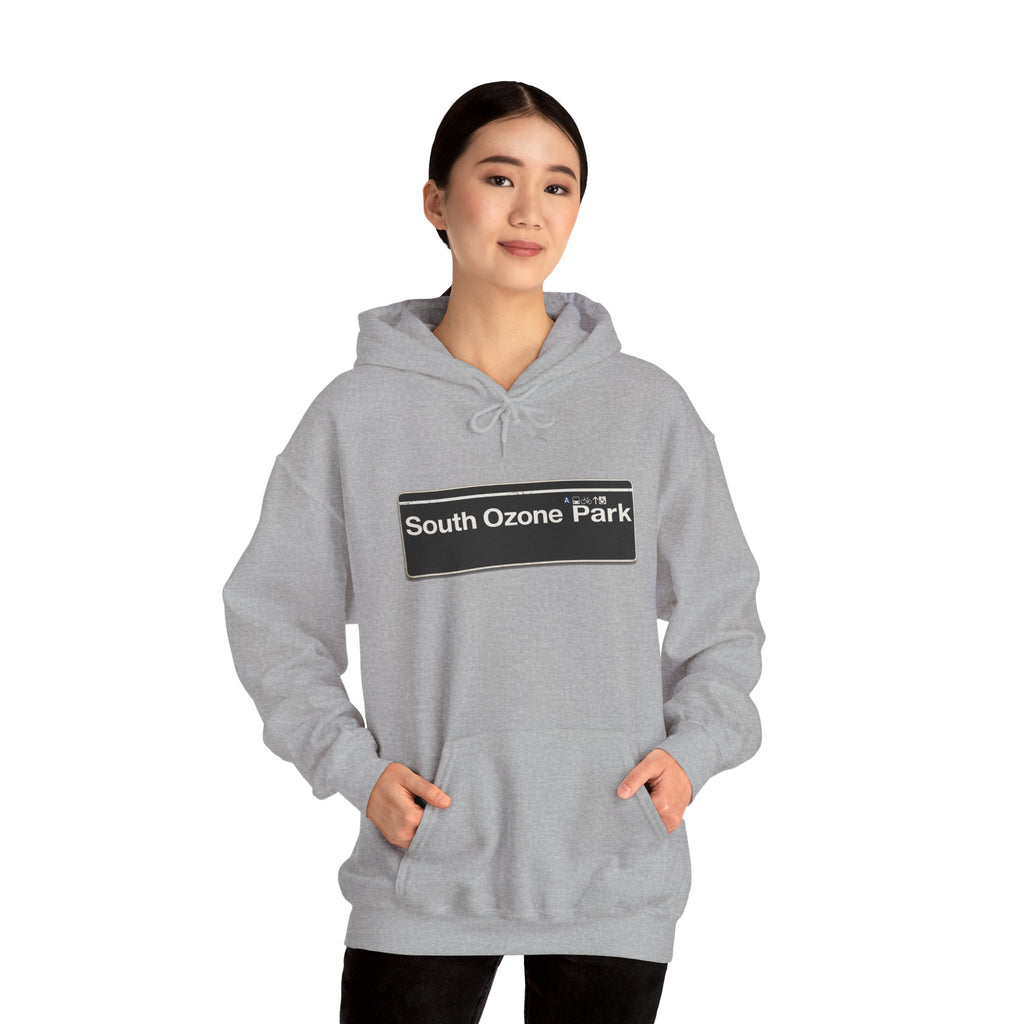 South Ozone Park Hoodie — Italian Flag Script Pullover