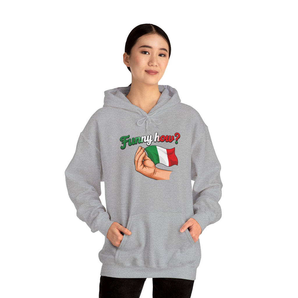 Funny How? Italian Hoodie — Italian Flag Script Pullover