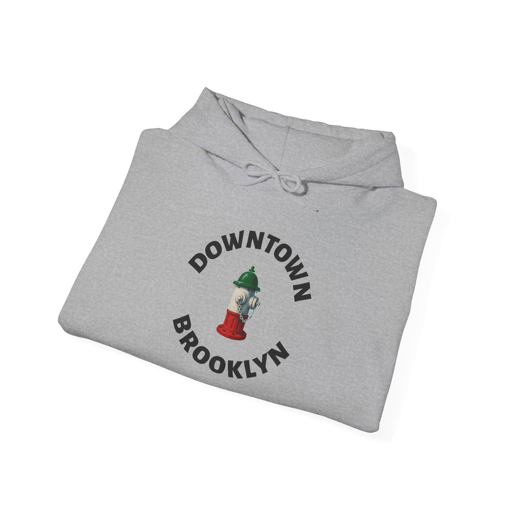 Downtown Brooklyn Hoodie — Italian Flag Script Pullover