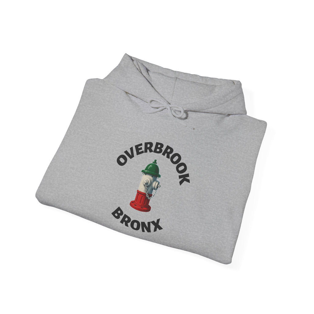 Overbrook Bronx Hoodie — Italian Flag Script Pullover