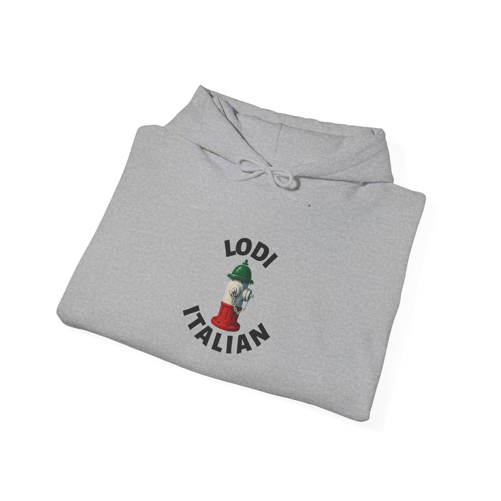 Lodi Italian Hoodie — Italian Flag Script Pullover