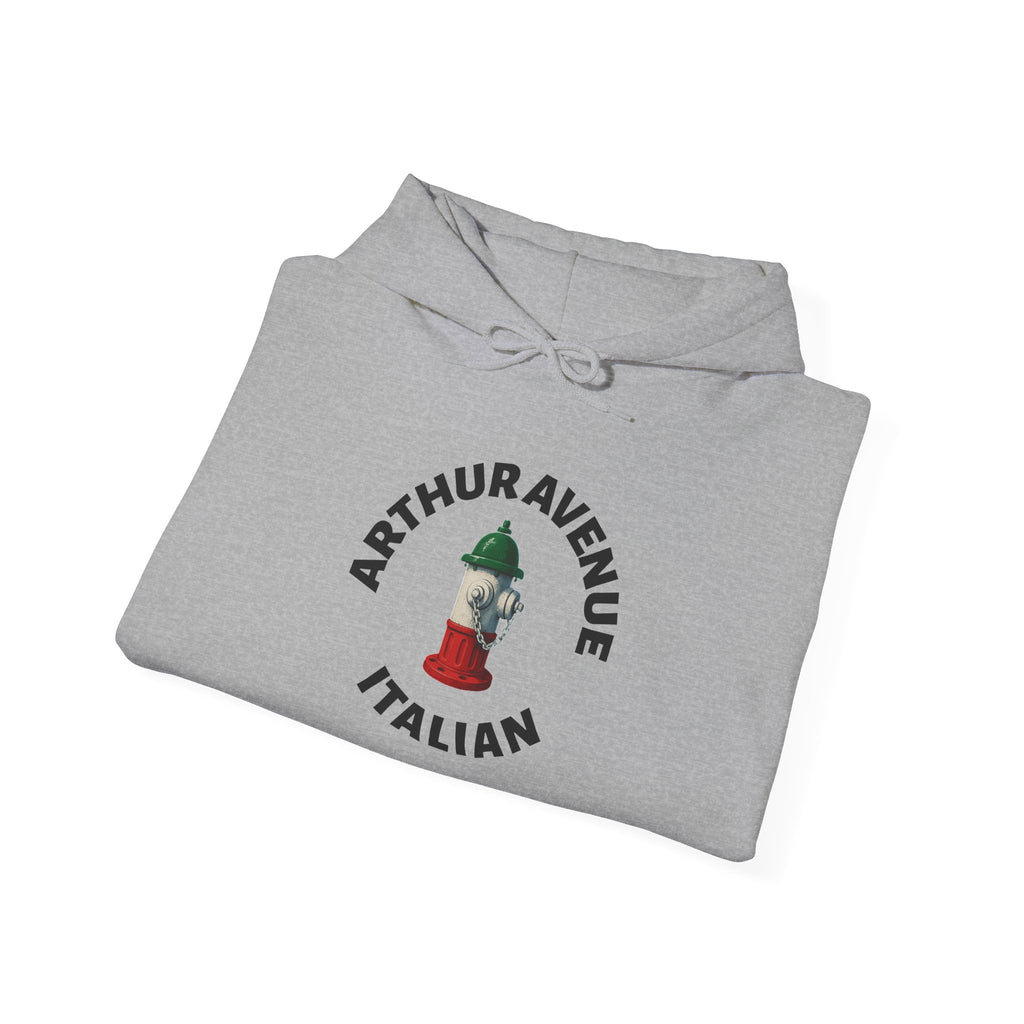 Arthur Avenue Italian Hoodie — Italian Flag Script Pullover