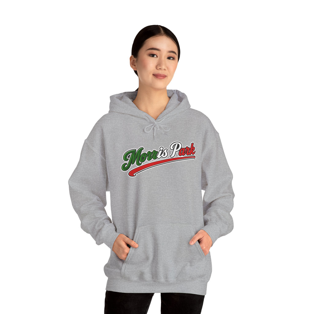 Morris Park Hoodie — Italian Flag Script Pullover