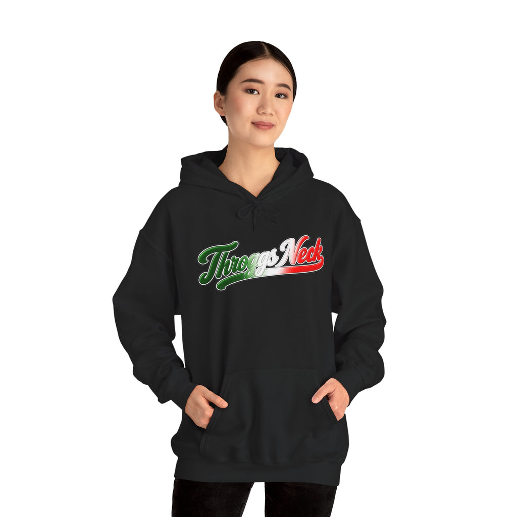 Throggs Neck Hoodie — Italian Flag Script Pullover