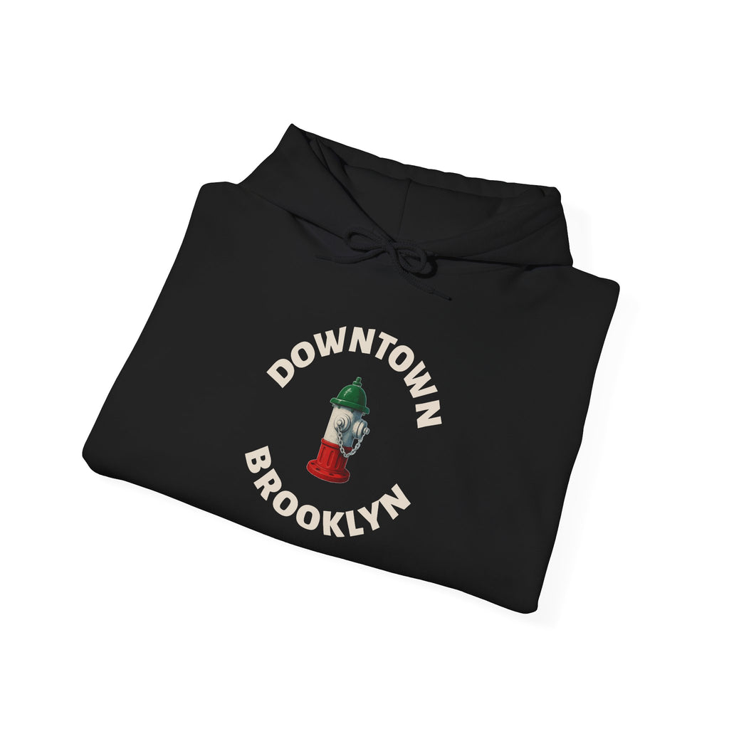 Downtown Brooklyn Hoodie — Italian Flag Script Pullover