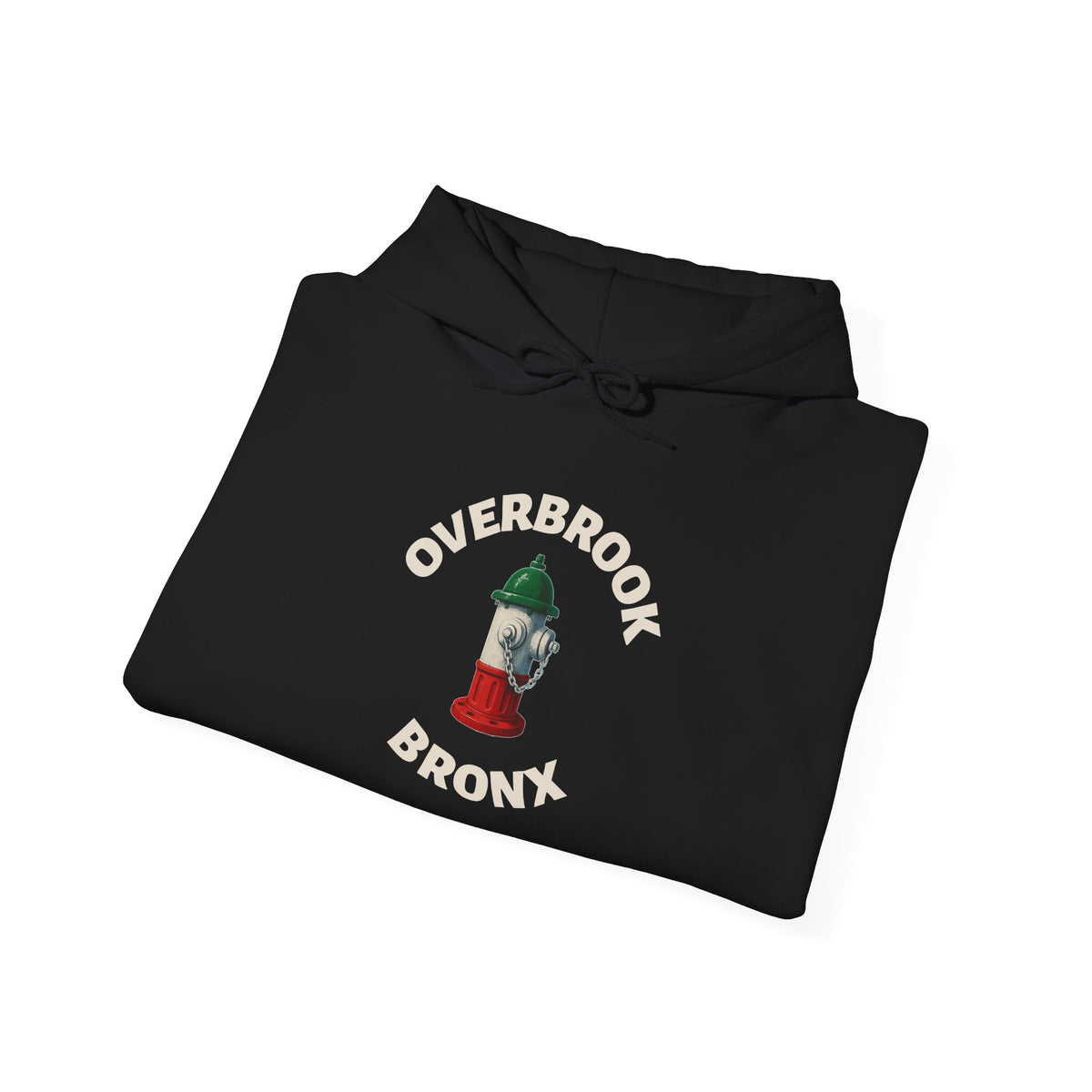 Overbrook Bronx Hoodie — Italian Flag Script Pullover